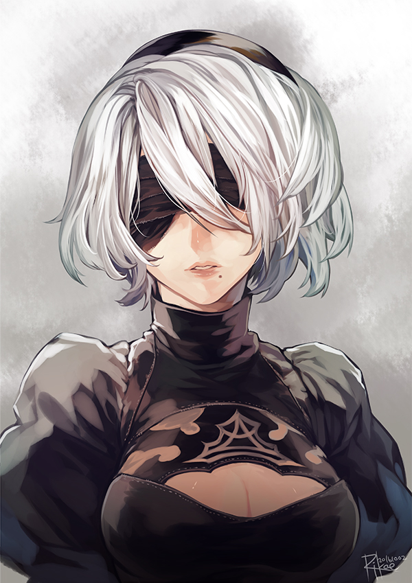 2b (nier and 1 more) drawn by rikoe
