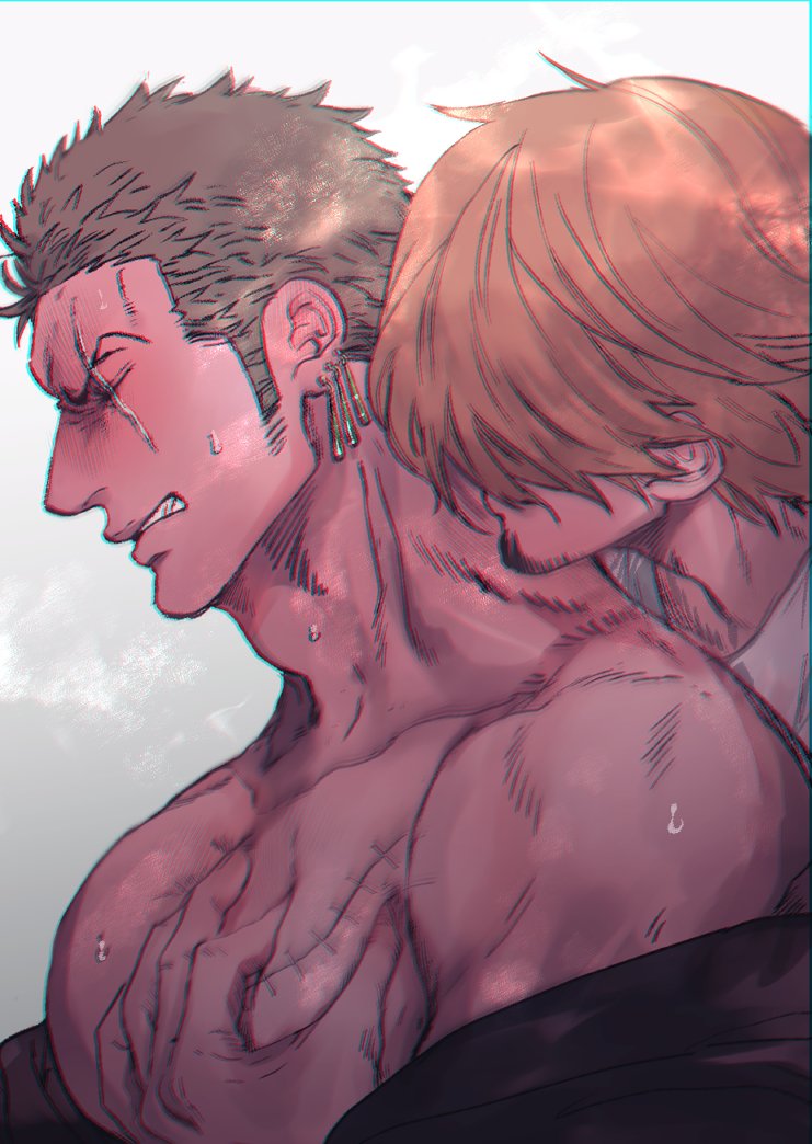 roronoa zoro and sanji (one piece) drawn by dondoko