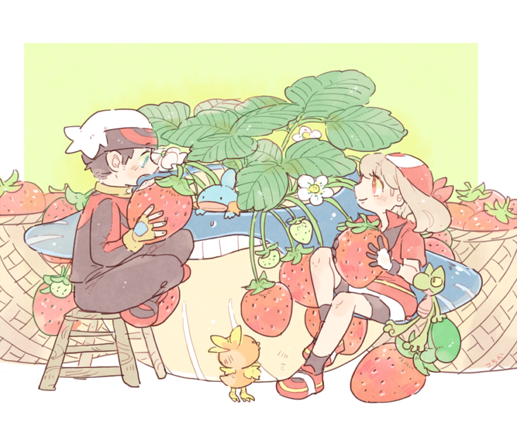may, brendan, torchic, mudkip, treecko, and 1 more (pokemon and 1 more) drawn by katiko