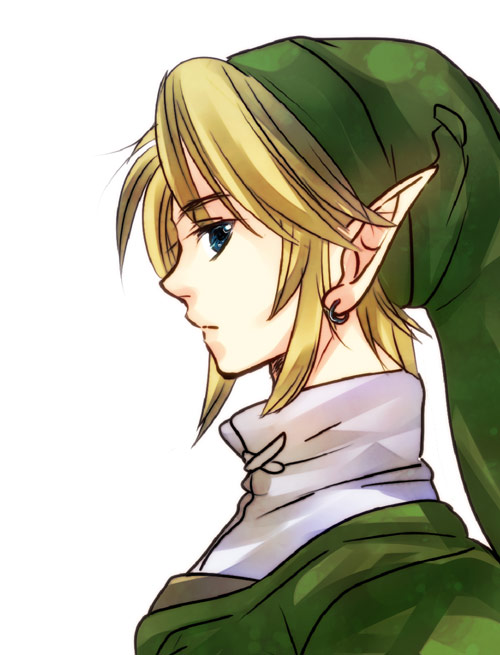 link (the legend of zelda and 1 more) drawn by suzuno_(kazahanasu)