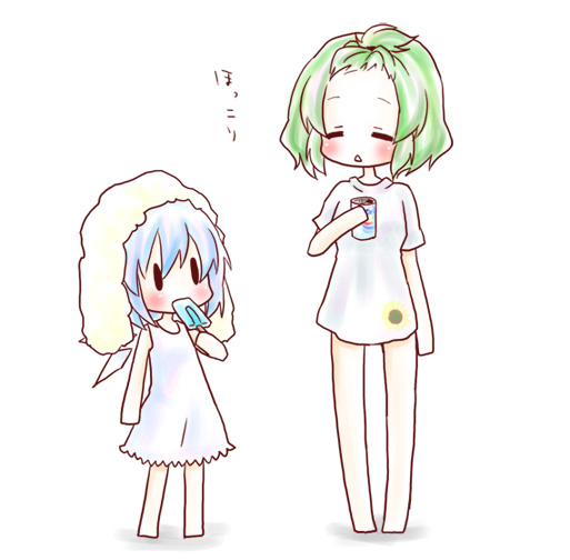 cirno and kazami yuuka (touhou) drawn by kuromame_(8gou)