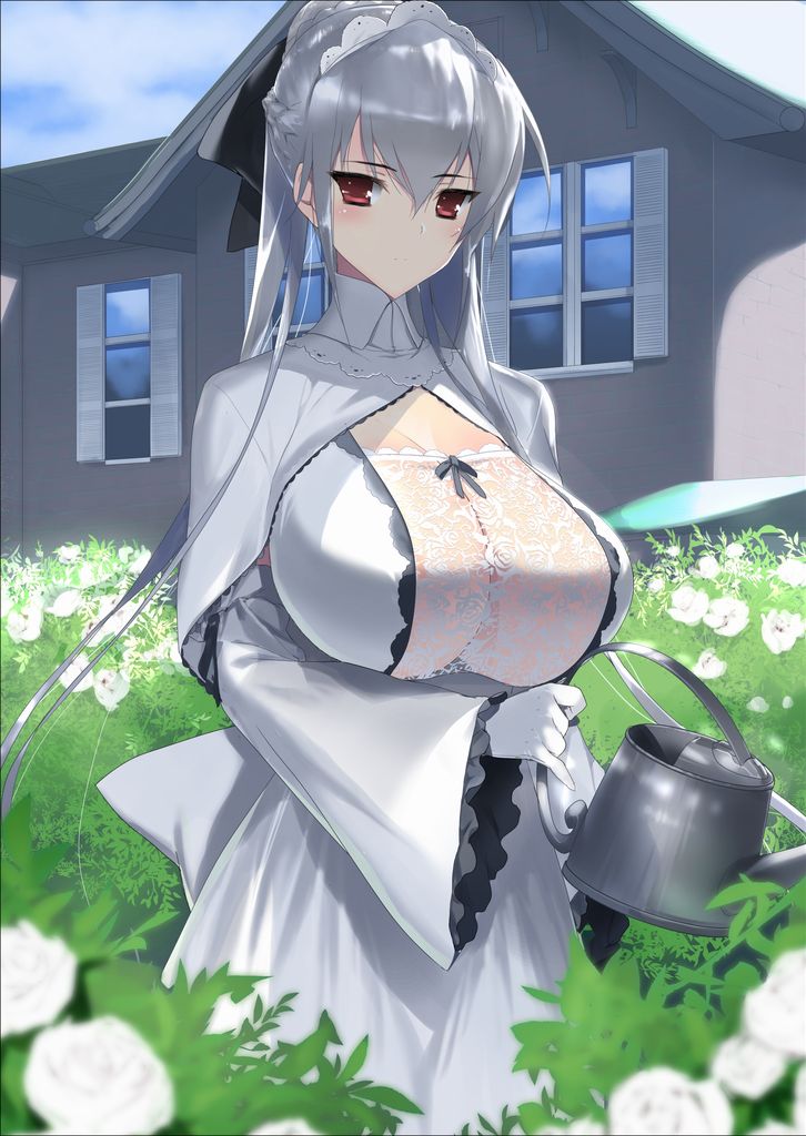 boku ni wa kaji yousei na meido ga imasu drawn by hima