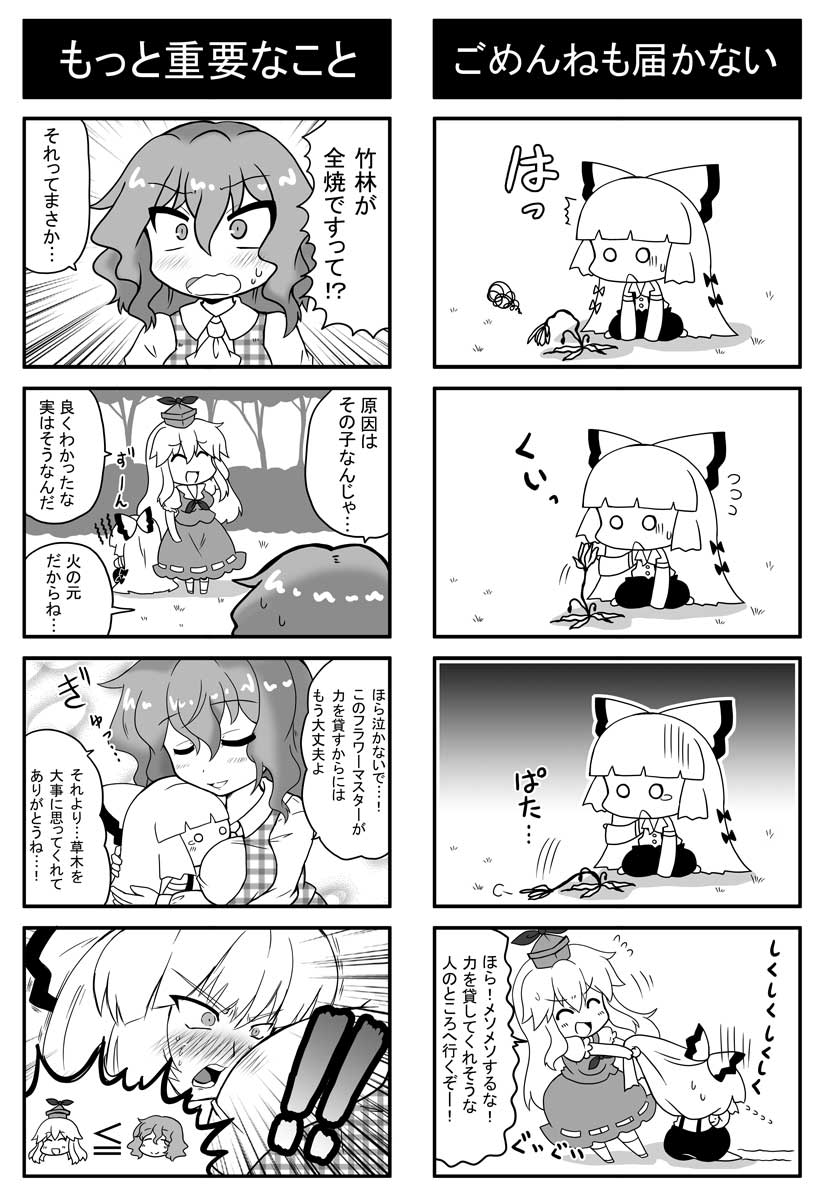 fujiwara no mokou, kazami yuuka, and kamishirasawa keine (touhou) drawn by noai_nioshi