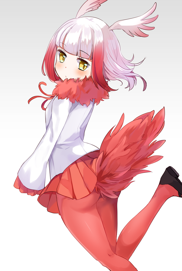 japanese crested ibis (kemono friends) drawn by onbin_ha
