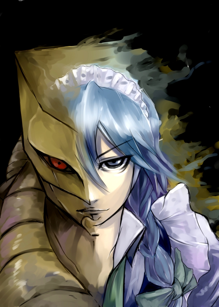 izayoi sakuya and the world (touhou and 3 more) drawn by quin