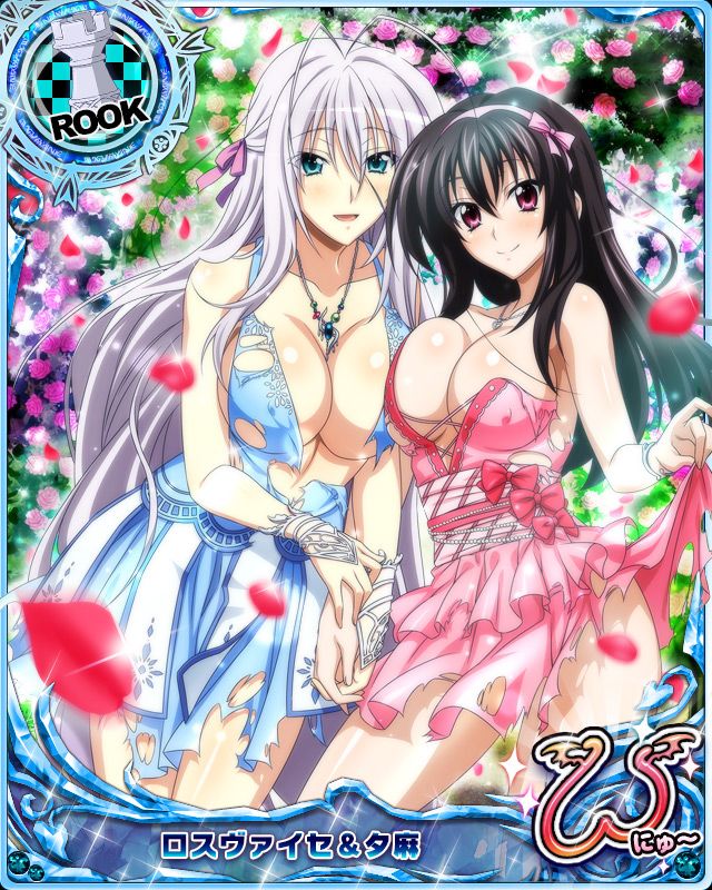 rossweisse and raynare (high school dxd and 1 more)