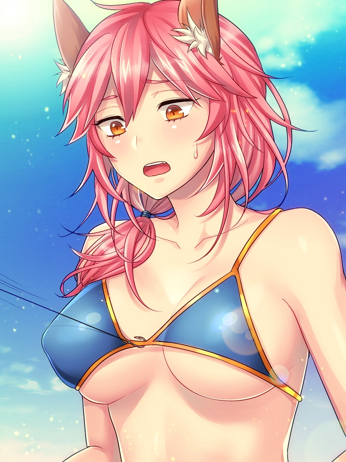 tamamo and tamamo no mae (fate and 3 more) drawn by aoi_chimaki