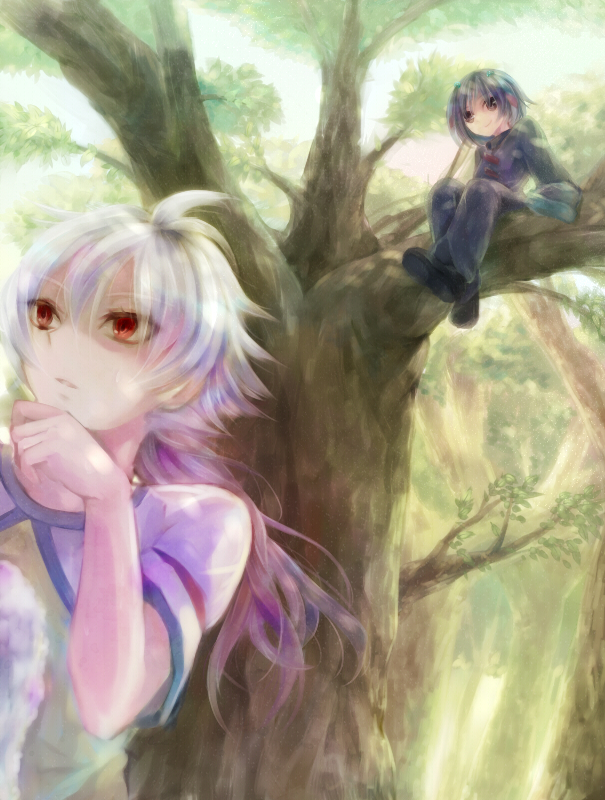 hakuryuu and shuu (inazuma eleven and 1 more) drawn by shain_roki