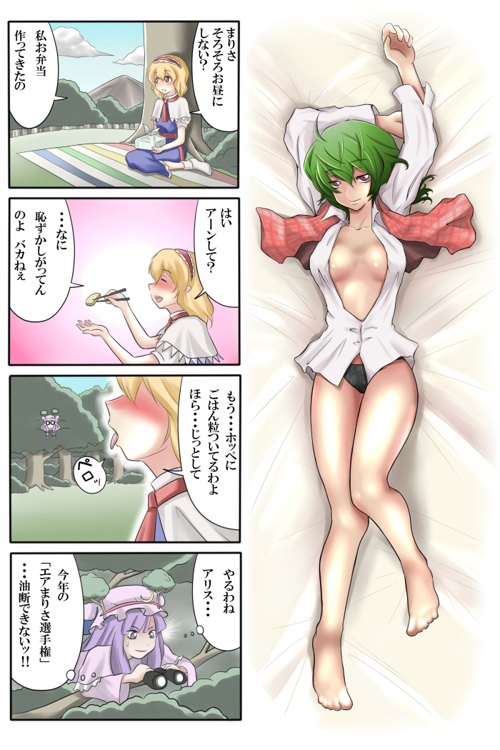 alice margatroid, patchouli knowledge, and kazami yuuka (touhou) drawn by ao_usagi