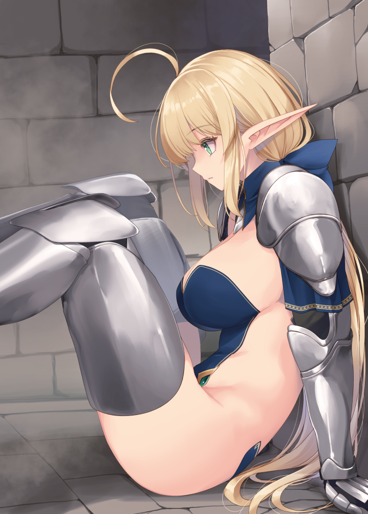 leotard elf knightess (original) drawn by kirishima_satoshi