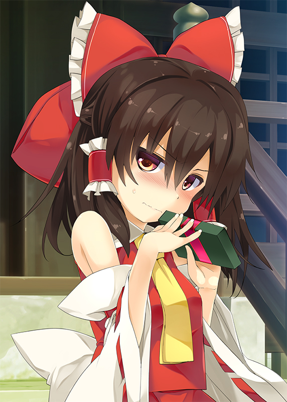 hakurei reimu (touhou) drawn by tororo_(toriaezu)