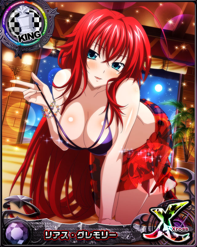 rias gremory (high school dxd and 1 more)