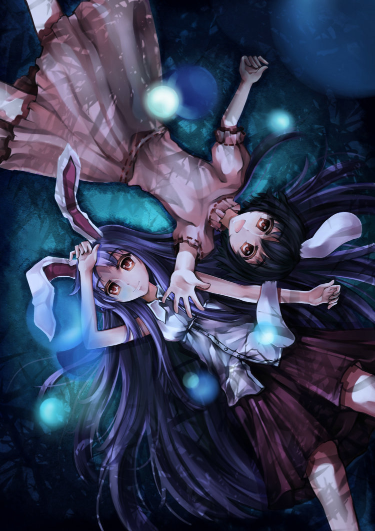 reisen udongein inaba and inaba tewi (touhou) drawn by altoris_(scee)