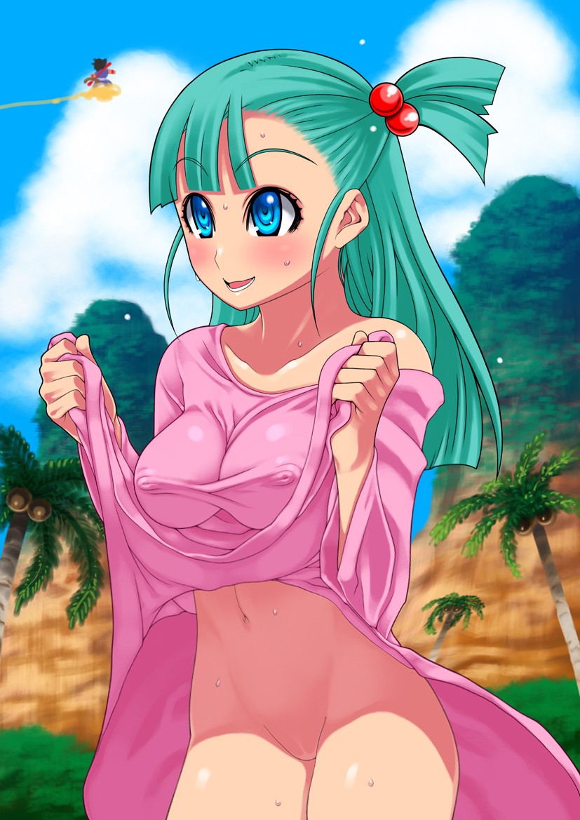 son goku and bulma (dragon ball) drawn by hachi_menou