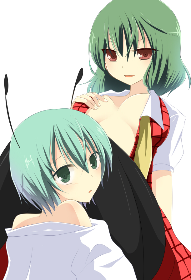 kazami yuuka and wriggle nightbug (touhou) drawn by kajiyama
