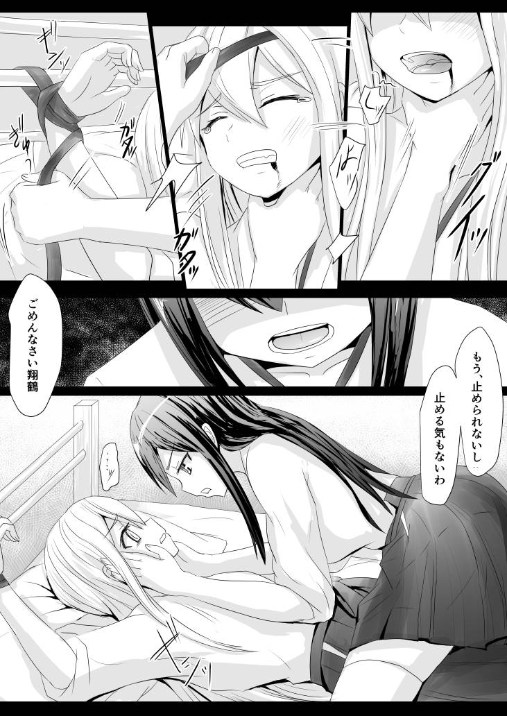 akagi and shoukaku (kantai collection) drawn by ifpark_(ifpark.com)