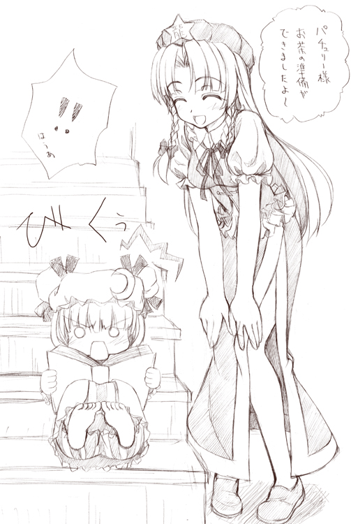 patchouli knowledge and hong meiling (touhou) drawn by sin-go