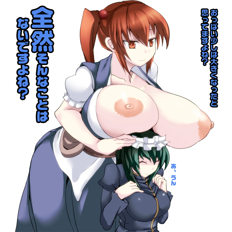 shiki eiki and onozuka komachi (touhou) drawn by nira