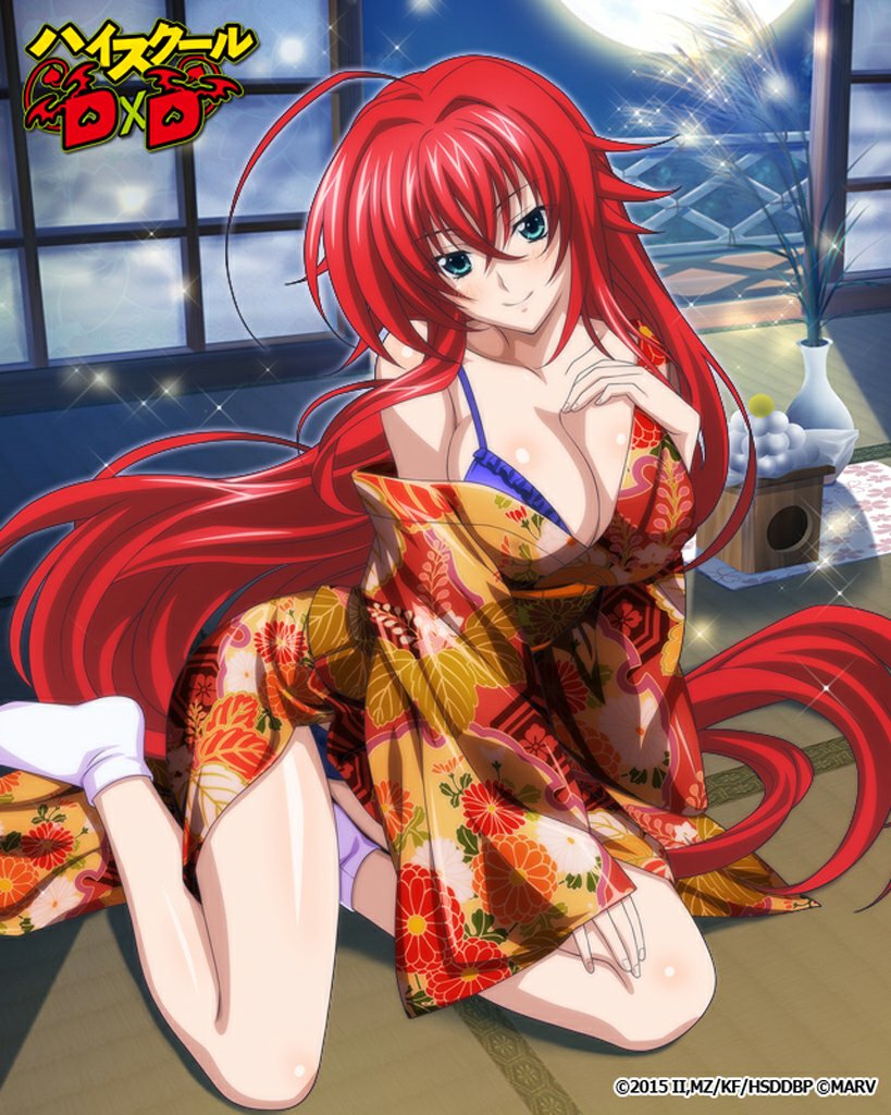 rias gremory (high school dxd and 1 more)