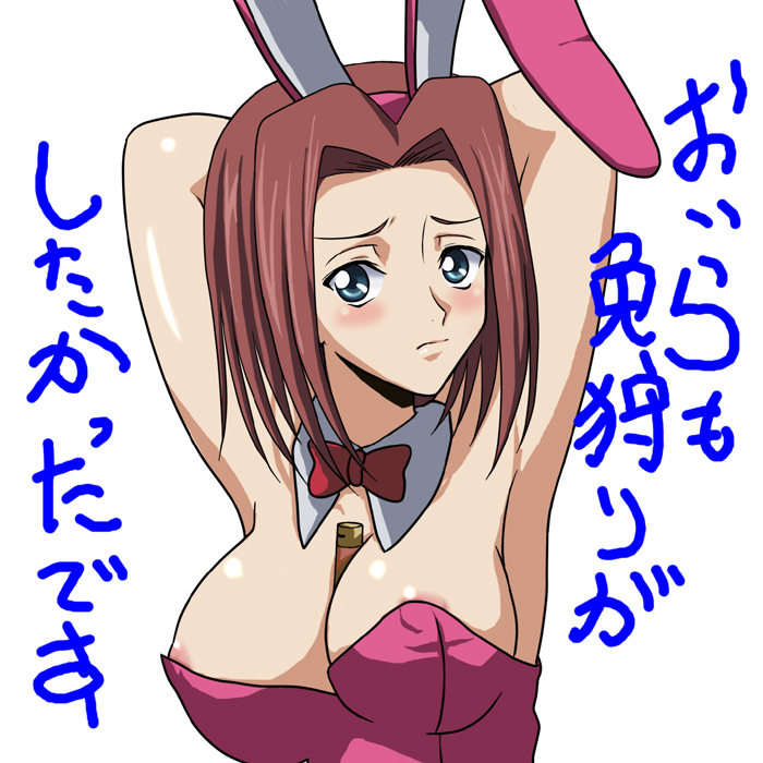 kouzuki kallen (code geass) drawn by sora_(aki00)