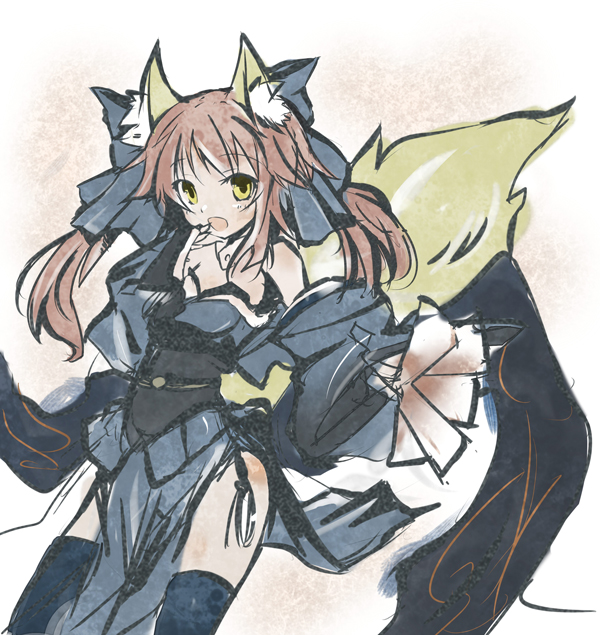 tamamo and tamamo no mae (fate and 1 more) drawn by hizaka