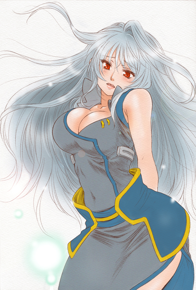 reinforce (lyrical nanoha and 2 more) drawn by shinanoya_(satanicad)