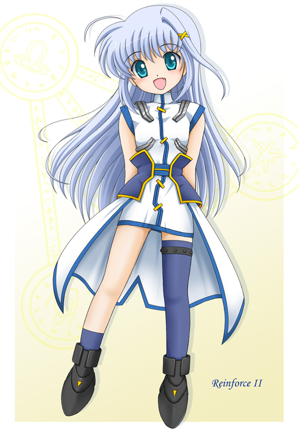 reinforce zwei (lyrical nanoha and 1 more) drawn by flipper