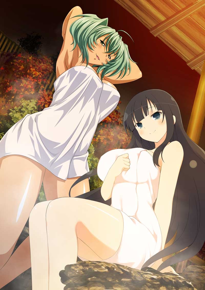 ikaruga and ryofu housen (senran kagura and 3 more) drawn by yaegashi_nan