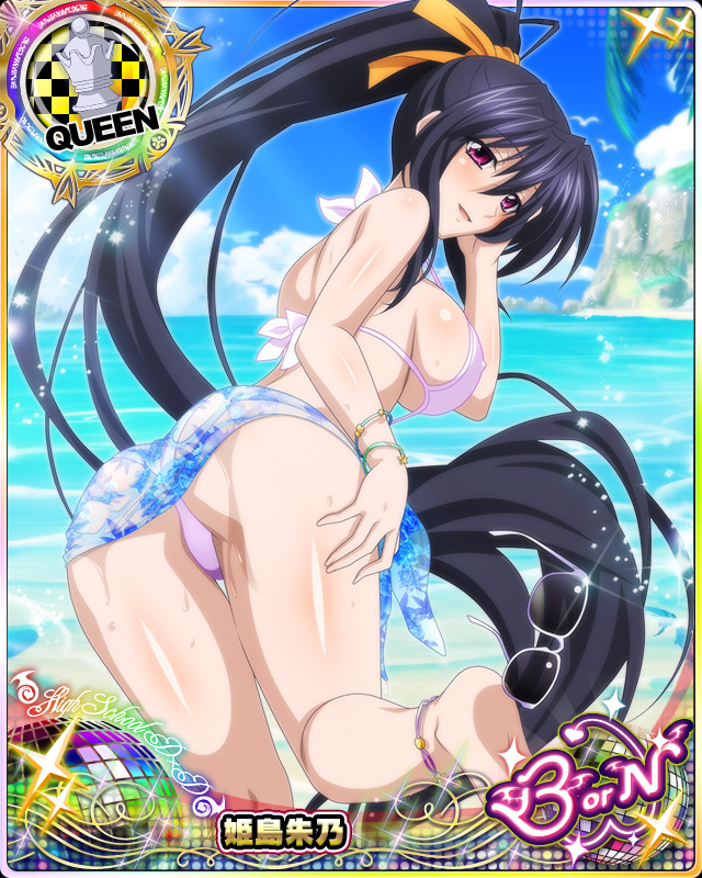 himejima akeno (high school dxd and 1 more)