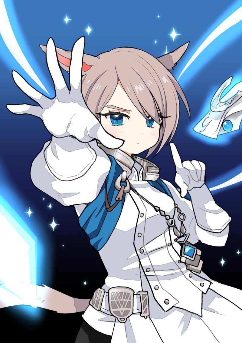 warrior of light and sage (final fantasy and 1 more) drawn by liricolilium