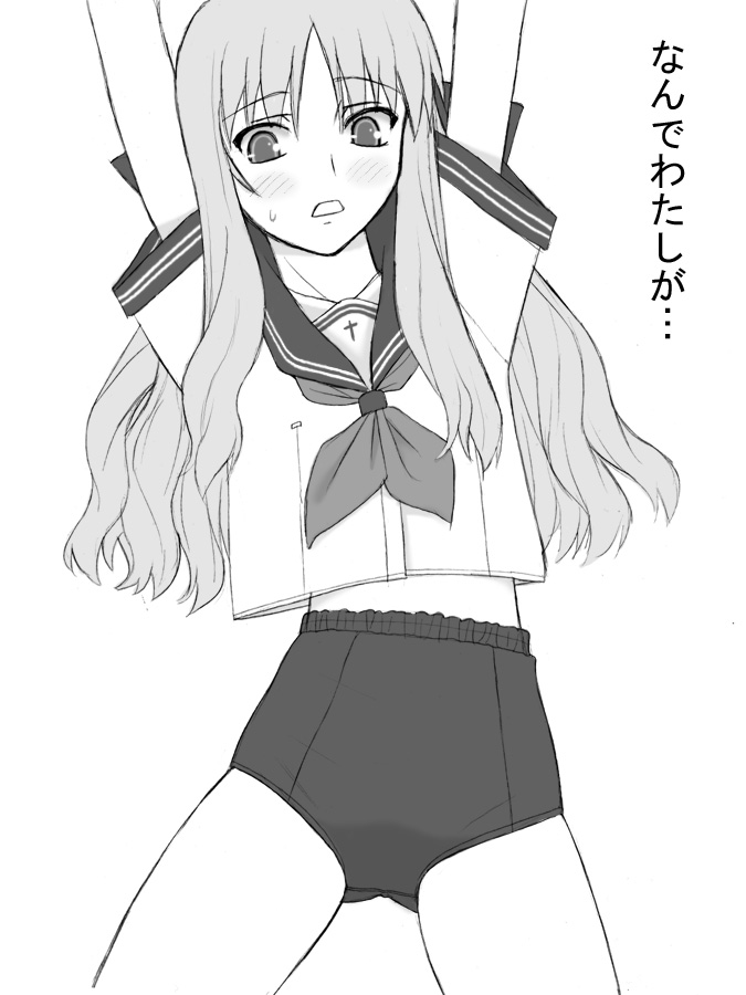 caren hortensia (fate and 2 more) drawn by shichimenchou