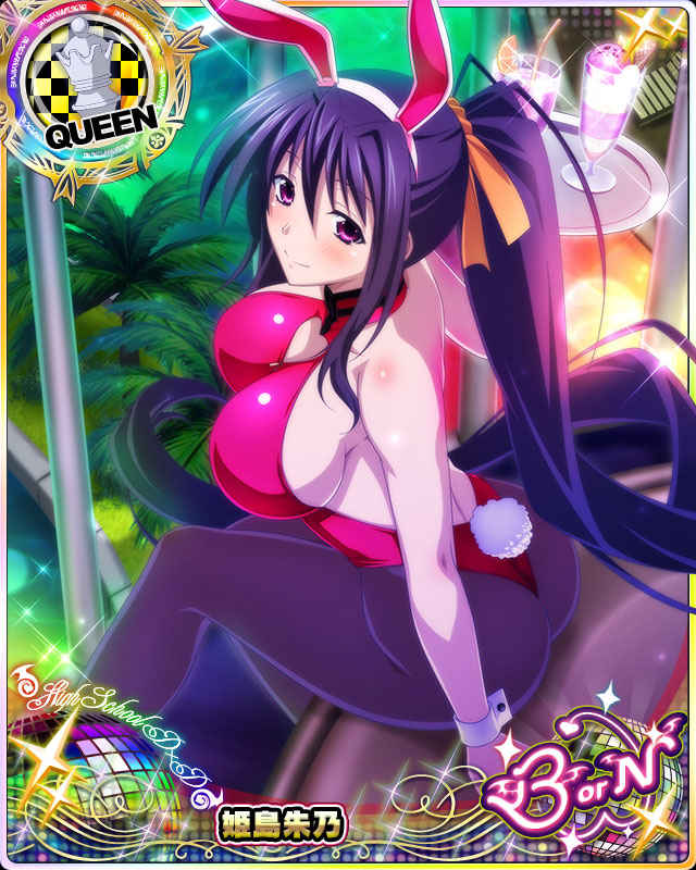 himejima akeno (high school dxd and 1 more)