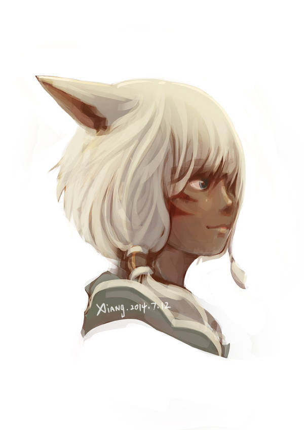 warrior of light (final fantasy and 1 more) drawn by huahua_de_xiang