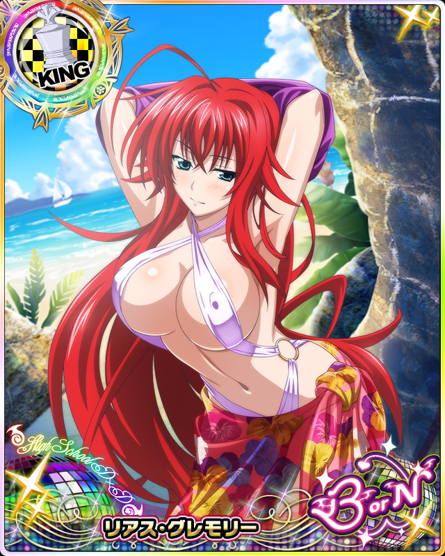 rias gremory (high school dxd and 1 more)
