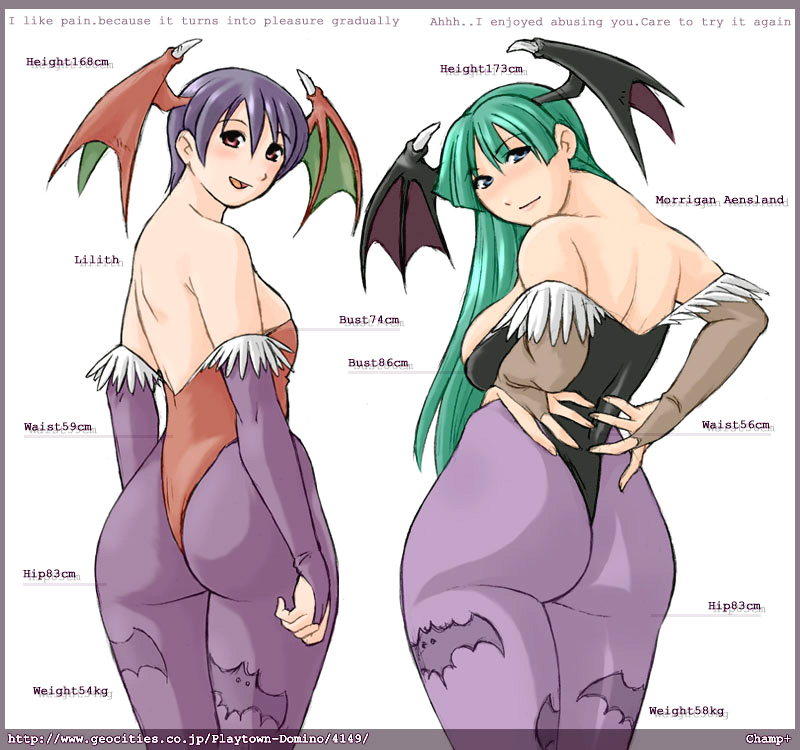 morrigan aensland and lilith (darkstalkers) drawn by champ+