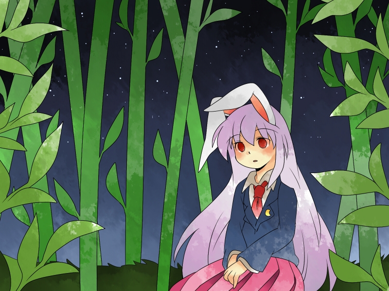 reisen udongein inaba (touhou) drawn by hammer_(sunset_beach)