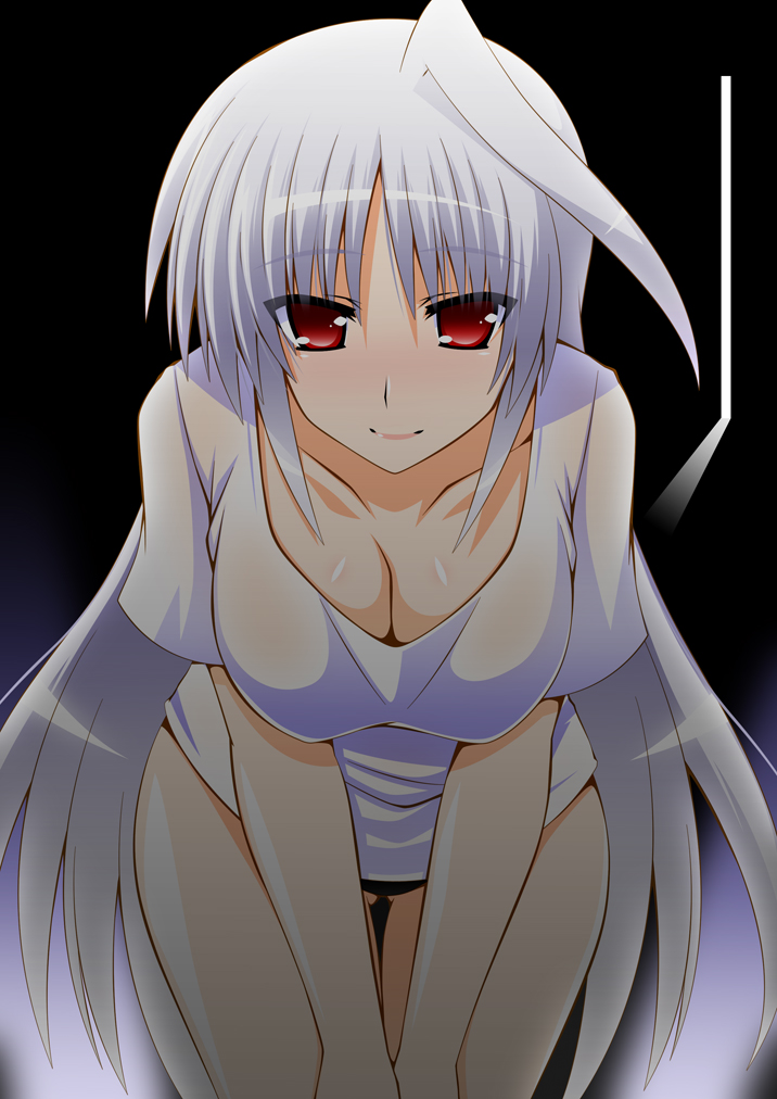 reinforce (lyrical nanoha and 2 more) drawn by engo_(aquawatery)