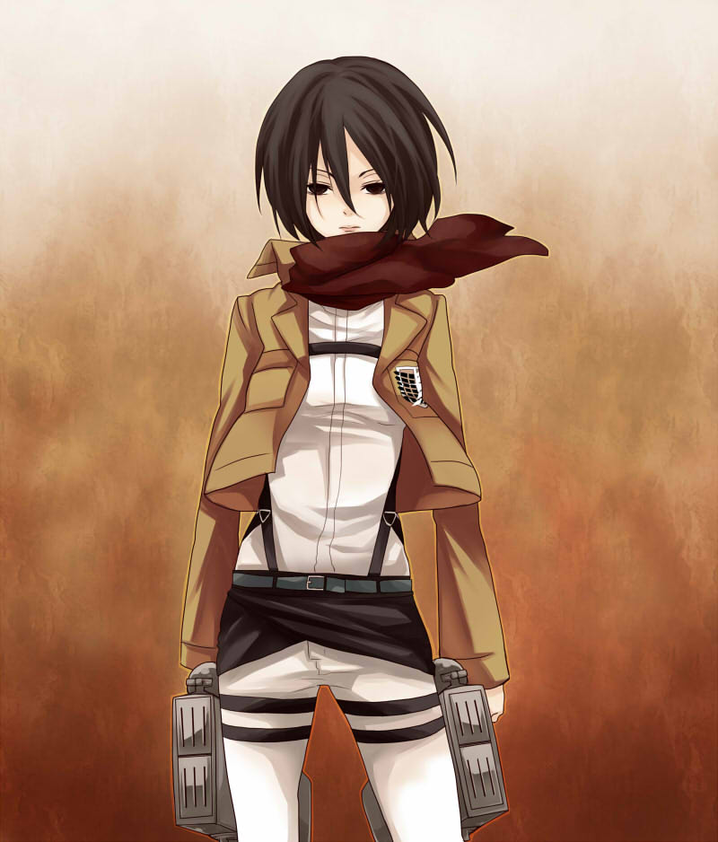 mikasa ackerman (shingeki no kyojin) drawn by shiki_(hubin)