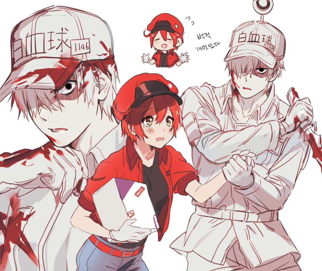 White Blood Cell Red Blood Cell Ae 3803 And U 1146 Hataraku Saibou Drawn By Mery Yangmalgage Danbooru White Blood Cell Red Blood Cell Ae 3803 And U 1146 Hataraku Saibou Drawn By Mery Yangmalgage Danbooru