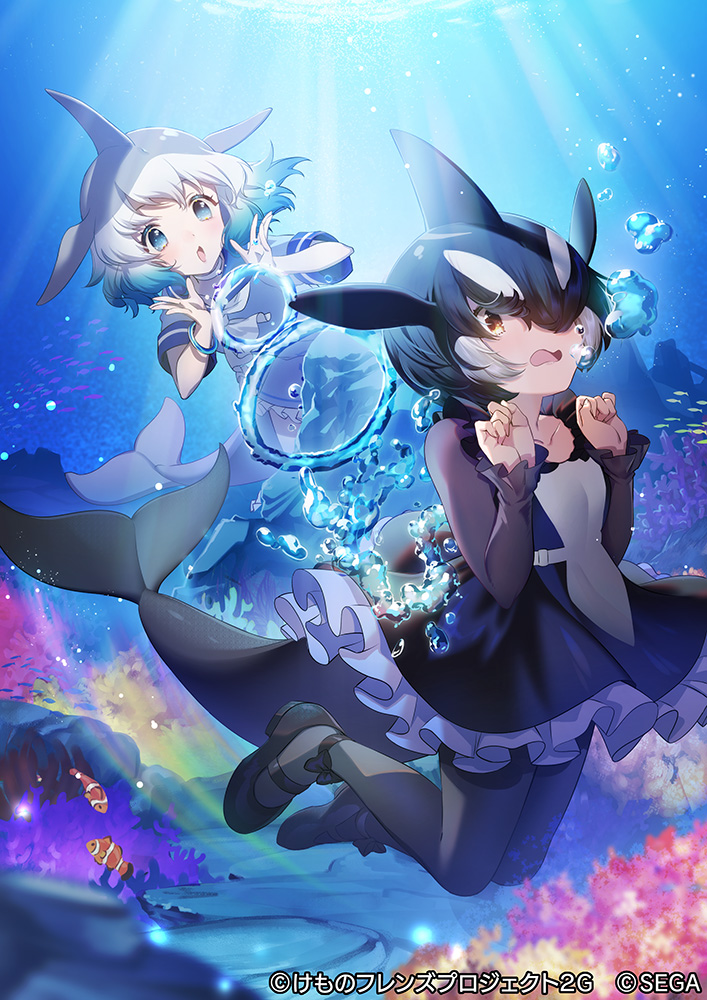 common bottlenose dolphin and orca (kemono friends and 1 more) drawn by mucchiri_shiitake