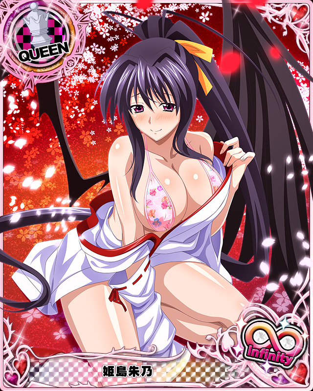 himejima akeno (high school dxd and 1 more)