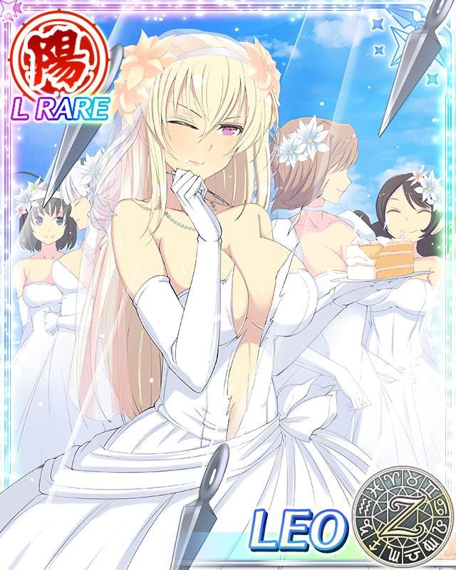 leo, ginrei, aimu, syuri, and kurohoro (senran kagura and 1 more) drawn by yaegashi_nan