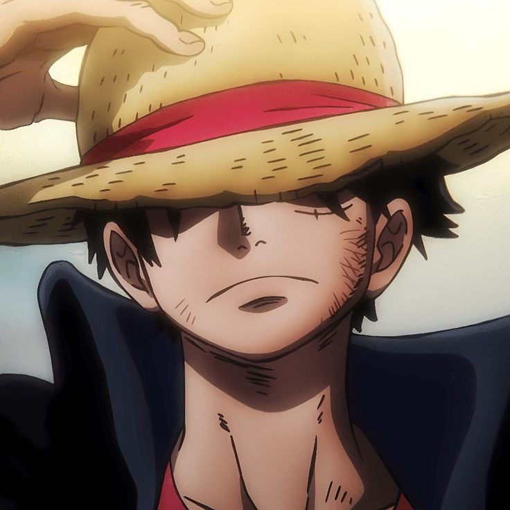 monkey d. luffy and hildegar (one piece and 1 more)