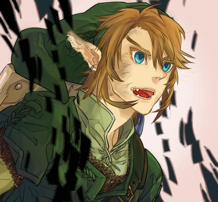 link (the legend of zelda and 1 more) drawn by nazuna_higurasi