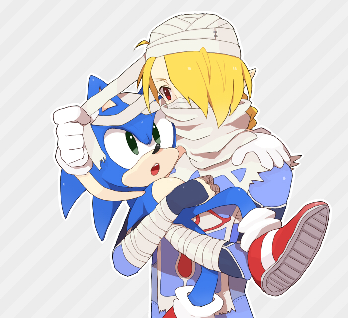 sonic the hedgehog and sheik (the legend of zelda and 3 more) drawn by nacha_(mottsu178)