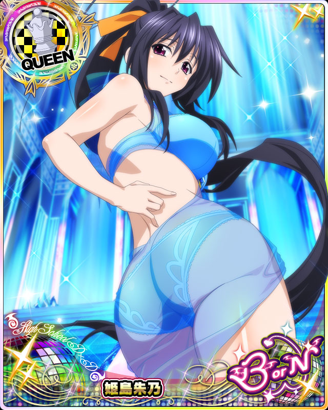 himejima akeno (high school dxd and 1 more)