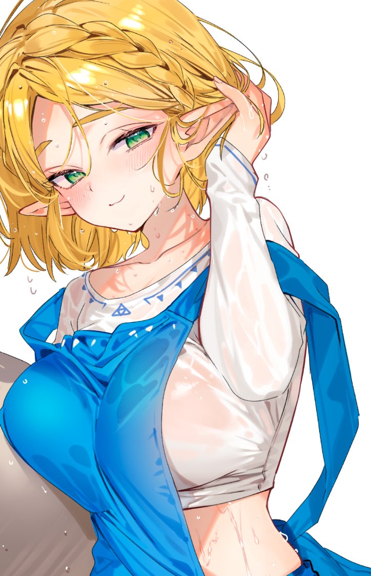 princess zelda (the legend of zelda and 1 more) drawn by shuri_(84k)