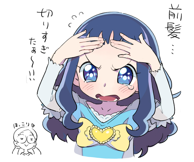 kurumi erika and hanasaki tsubomi (precure and 1 more) drawn by moudoku_(decopon3rd)