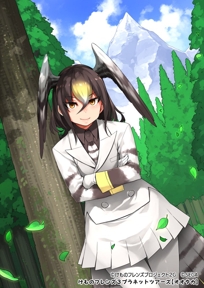 northern goshawk (kemono friends and 1 more) drawn by mitsuba_minoru