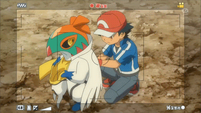 pikachu, ash ketchum, and hawlucha (pokemon and 1 more)